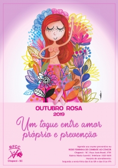 Rede Feminina de Combate ao Cncer Chapec - 