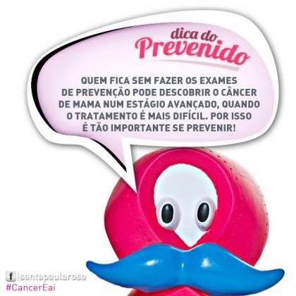 Rede Feminina de Combate ao Cncer Chapec - 