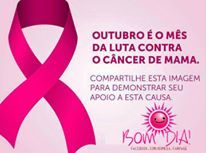 Rede Feminina de Combate ao Cncer Chapec - 