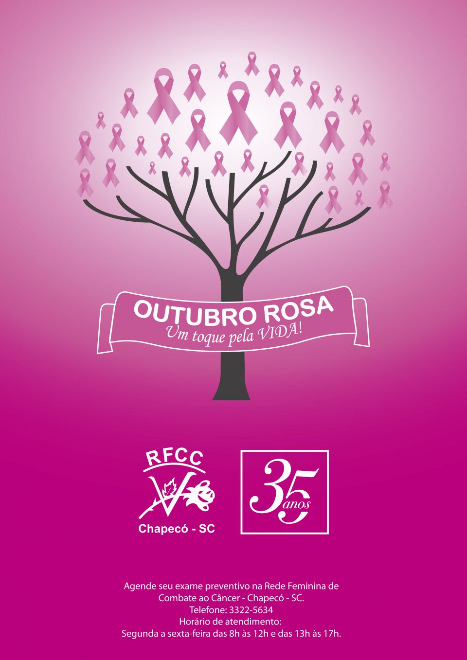 Rede Feminina de Combate ao Cncer Chapec -