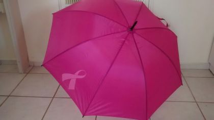 Rede Feminina de Combate ao Cncer Chapec -