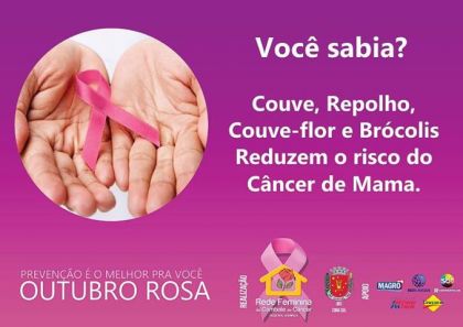 Rede Feminina de Combate ao Cncer Chapec -