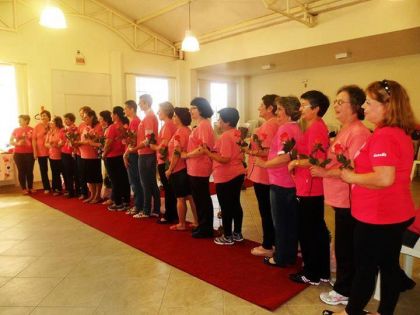 Rede Feminina de Combate ao Cncer Chapec -