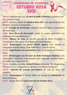 Rede Feminina de Combate ao Cncer Chapec -