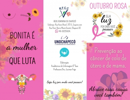 Rede Feminina de Combate ao Cncer Chapec -