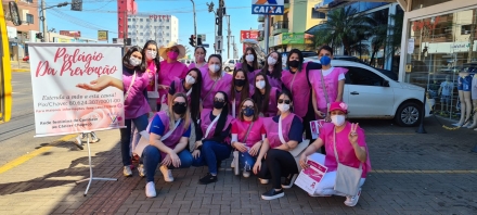 Rede Feminina de Combate ao Cncer Chapec -