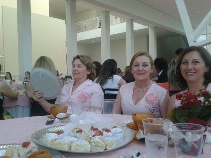 Rede Feminina de Combate ao Cncer Chapec -