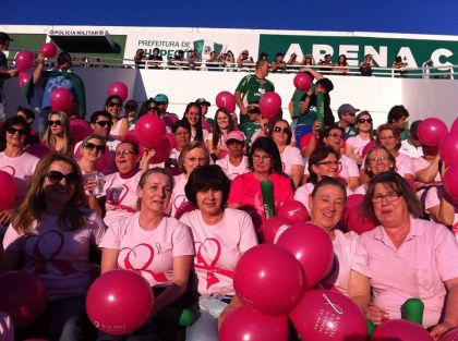 Rede Feminina de Combate ao Cncer Chapec -