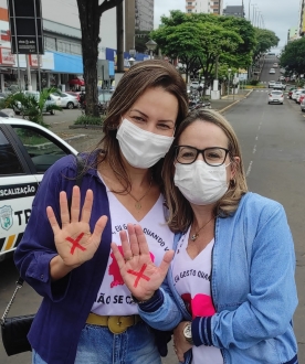 Rede Feminina de Combate ao Cncer Chapec -