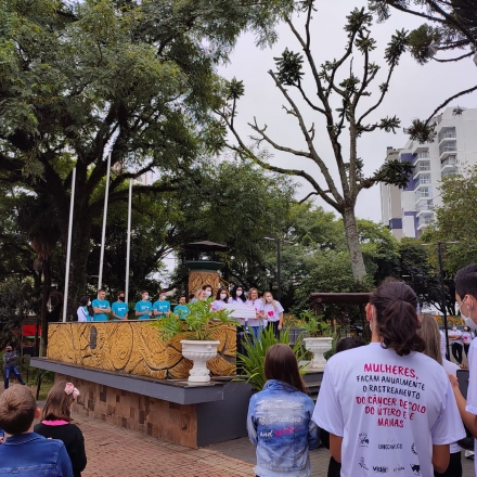 Rede Feminina de Combate ao Cncer Chapec -