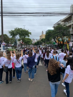 Rede Feminina de Combate ao Cncer Chapec -