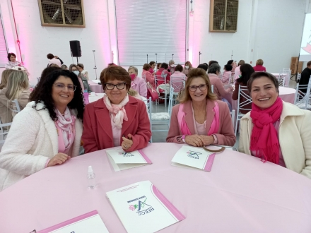 Rede Feminina de Combate ao Cncer Chapec -