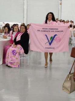 Rede Feminina de Combate ao Cncer Chapec -